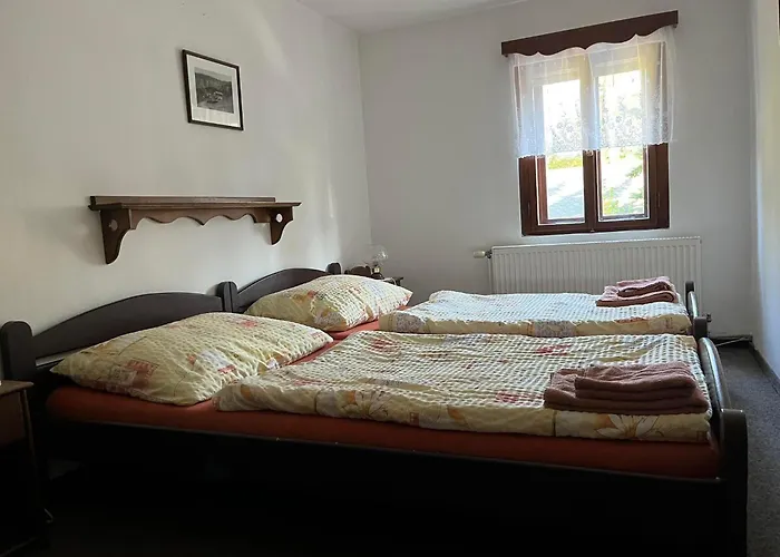 Dřevák Penzion Jetřichovice